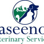 Saseenos Veterinary Services